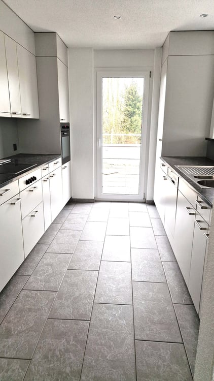 Grosszügige 1-Zimmer-Attikawohnung mit Cheminée und grosser Terrasse 5