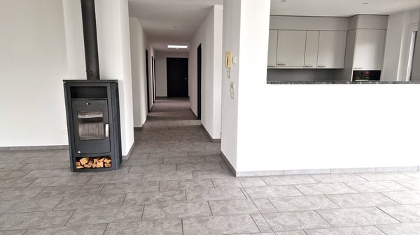 Grosszügige 1-Zimmer-Attikawohnung mit Cheminée und grosser Terrasse 3