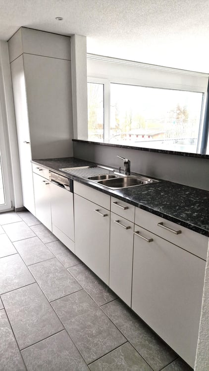 Grosszügige 1-Zimmer-Attikawohnung mit Cheminée und grosser Terrasse 6