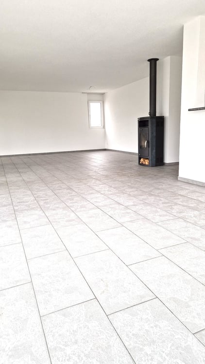 Grosszügige 1-Zimmer-Attikawohnung mit Cheminée und grosser Terrasse 2