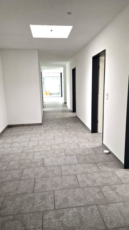 Grosszügige 1-Zimmer-Attikawohnung mit Cheminée und grosser Terrasse 4