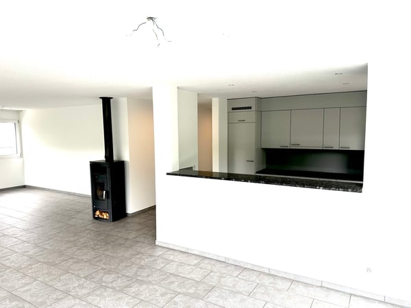 Grosszügige 6-Zimmer-Attikawohnung mit Cheminée und grosser Terrasse 3