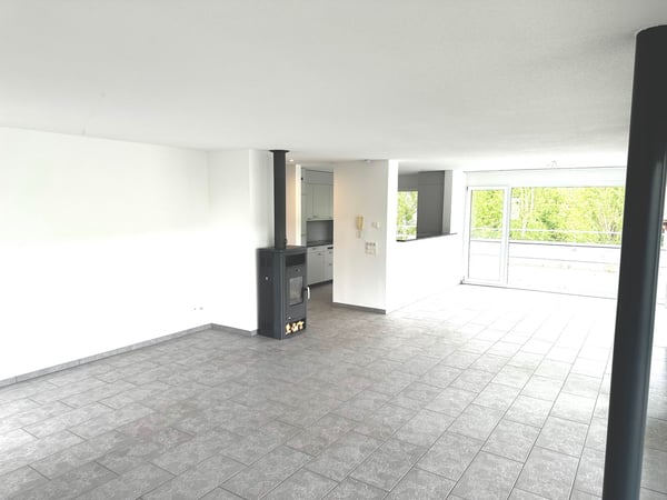Grosszügige 6-Zimmer-Attikawohnung mit Cheminée und grosser Terrasse 2