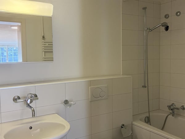 Wohnen an der Aare stilvolle 2.0-Zimmerwohnung 5