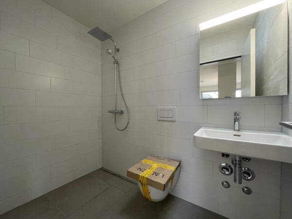 1.5-Zimmer Attikawohnung im Dorfkern von Reinach BL 3