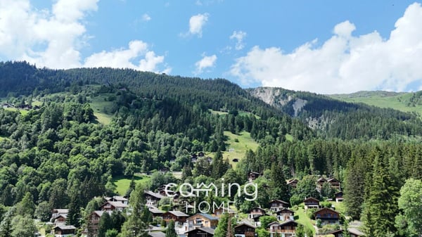 Charmantes Restaurant mit Bar in Blatten ob Naters - erfolgreiche Investition in der Ferienregion Belalp 6