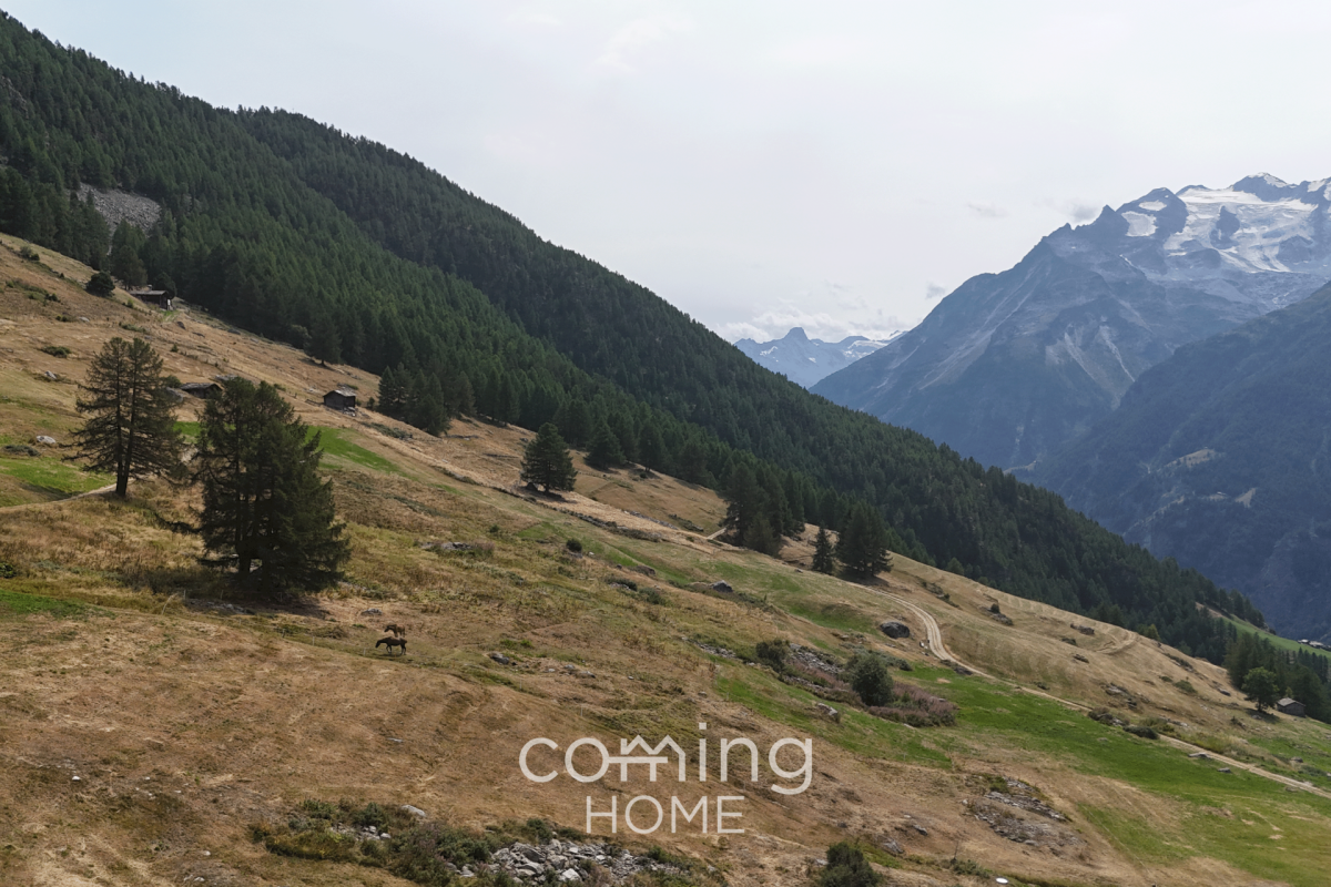 651 m² Bauland in Gspon - alpine Berglage mit eindrucksvollem Panorama