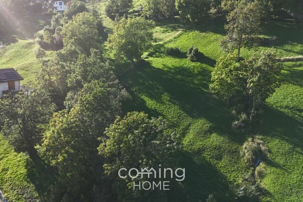 Attraktive Bauparzelle in Mund - Sonne, Ruhe & Bergpanorama 3