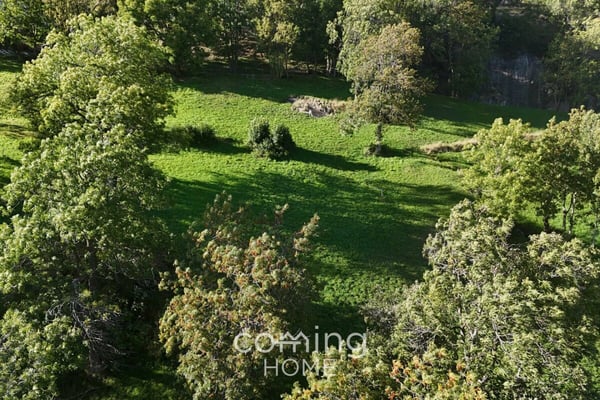 Attraktive Bauparzelle in Mund - Sonne, Ruhe & Bergpanorama 2