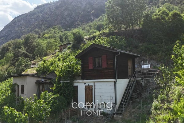 Rebparzelle mit Rebhaus in Stalden - Weinbau im Vispertal 6