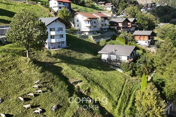 Bauparzelle in Mund - Südhanglage, Rhonetal-Aussicht, Erstwohnsitz möglich 3
