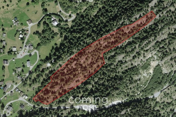 Blatten bei Naters - Grosszügiges Waldgrundstück mit Bergpanorama und Nähe zum Stausee Gebidem 1