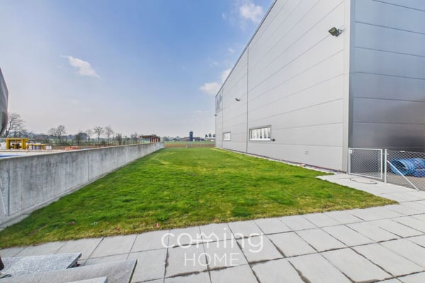 Gewerbefläche in Niederbipp - 455 m² für IT, Oldtimer, Lager oder Gewerbe 1