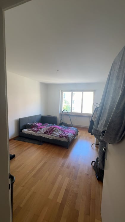 Gemütliche 1-Zimmer-Wohnung in ruhiger Lage Basel 4
