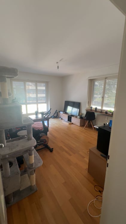 Gemütliche 1-Zimmer-Wohnung in ruhiger Lage Basel 3