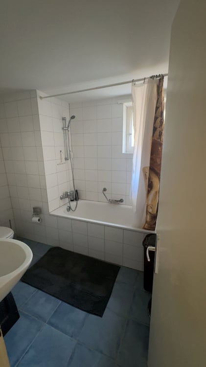 Gemütliche 1-Zimmer-Wohnung in ruhiger Lage Basel 1