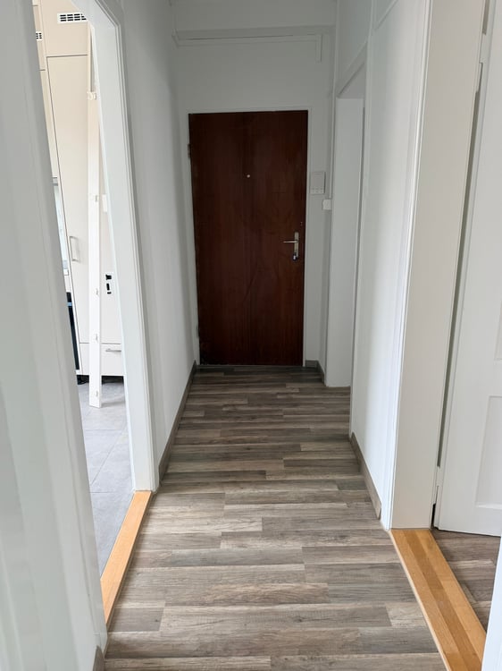 Frisch sanierte 3 Zimmer Wohnung zu vermieten 3