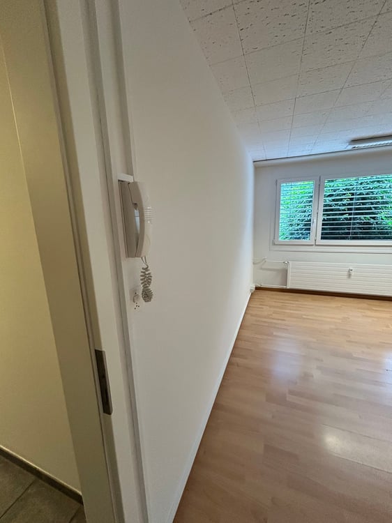 Heller Praxisraum / Atelier in Allschwil zu vermieten 2