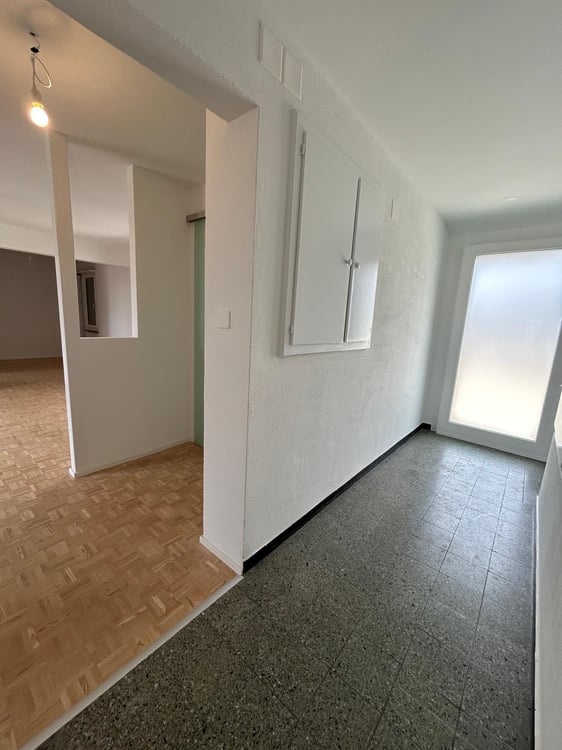 Moderne Attikawohnung mit großzügigen Terrassen in Basel 4