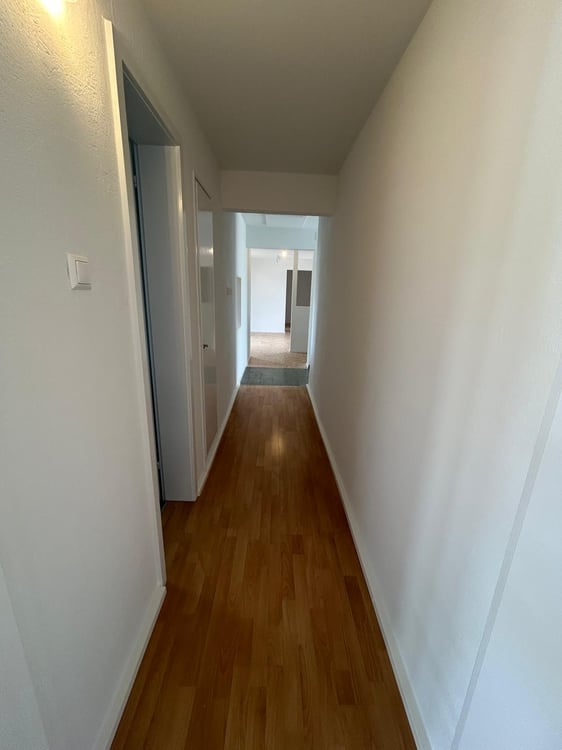 Moderne Attikawohnung mit großzügigen Terrassen in Basel 12