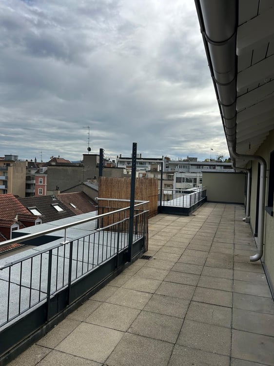 Moderne Attikawohnung mit großzügigen Terrassen in Basel 11