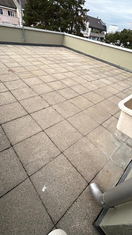 Moderne Attikawohnung mit großzügigen Terrassen in Basel 10