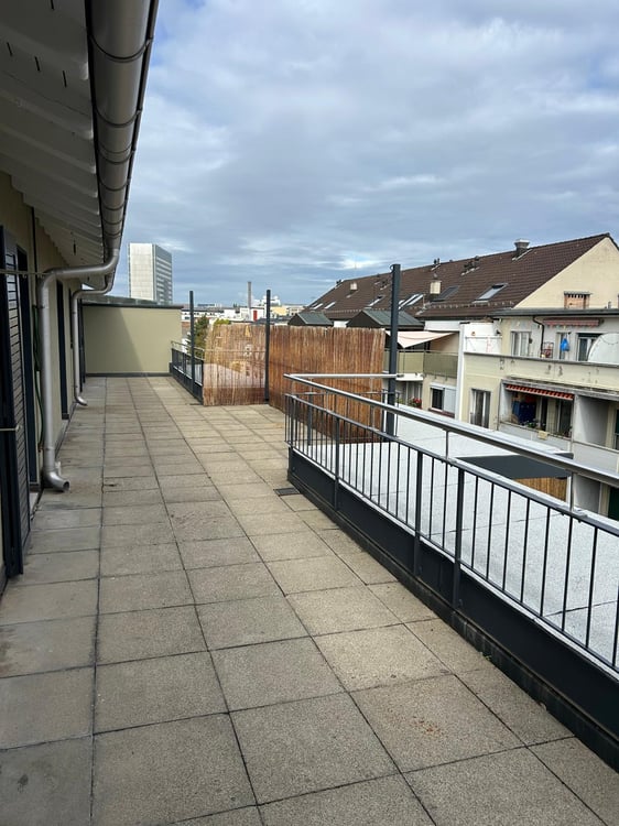 Moderne Attikawohnung mit großzügigen Terrassen in Basel 2