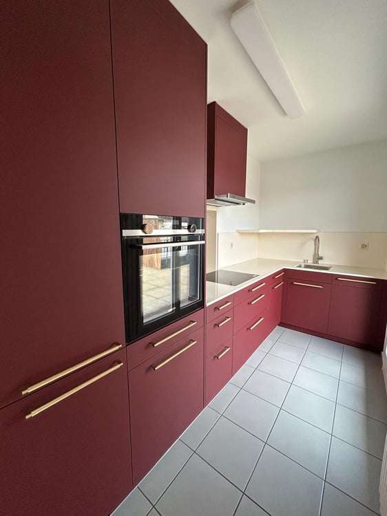 Moderne Attikawohnung mit großzügigen Terrassen in Basel 1