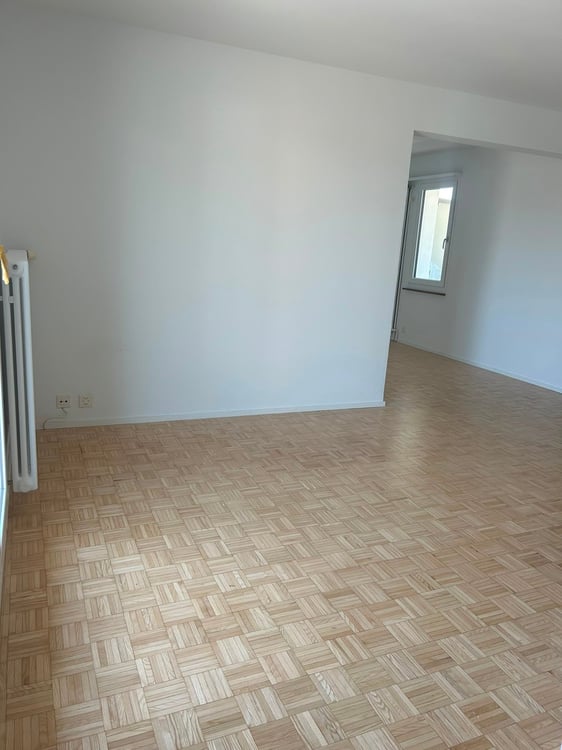 Moderne Attikawohnung mit großzügigen Terrassen in Basel 4