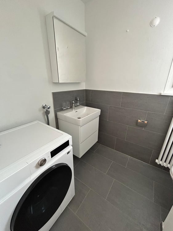 Moderne Attikawohnung mit großzügigen Terrassen in Basel 3
