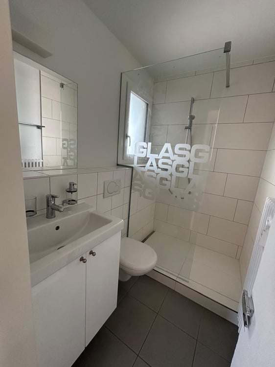 Moderne Attikawohnung mit großzügigen Terrassen in Basel 7