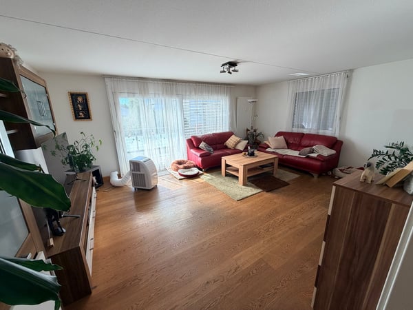 Geräumige 5-Zimmer-Maisonette-Wohnung in Allschwil 2