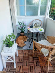 Grosse 2.5 Zimmerwohnung 10