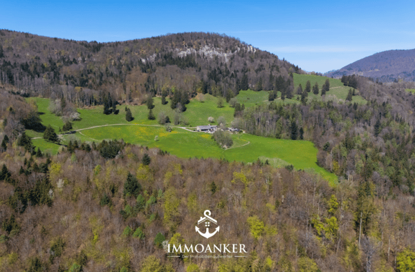 Erfolgreiches Restaurant mit 1.5 Zi. Wohnung und viel Umschwung am Südhang 6