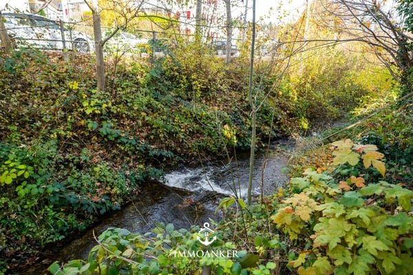 Familienfreundlich. Hell. Zentral 1.5 Zimmer Einfamilienhaus in Oberuzwil 11