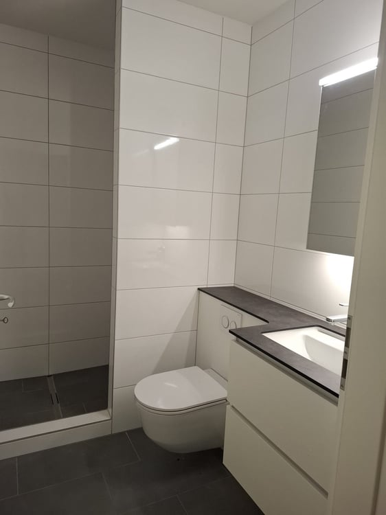 Charmante 1.5-Zimmer-Wohnung in Basel mit Gartensitzplatz 5