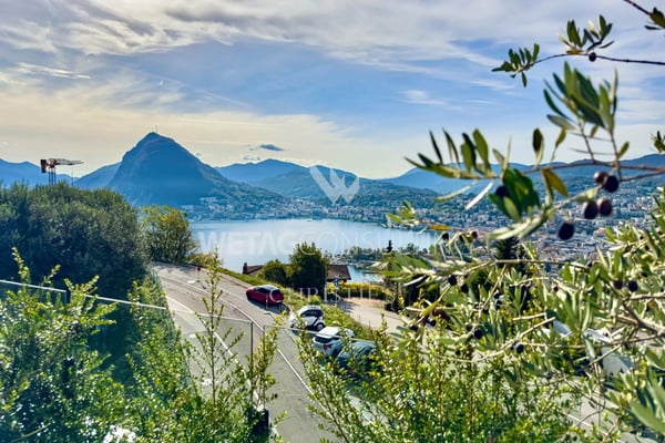 Aldesago