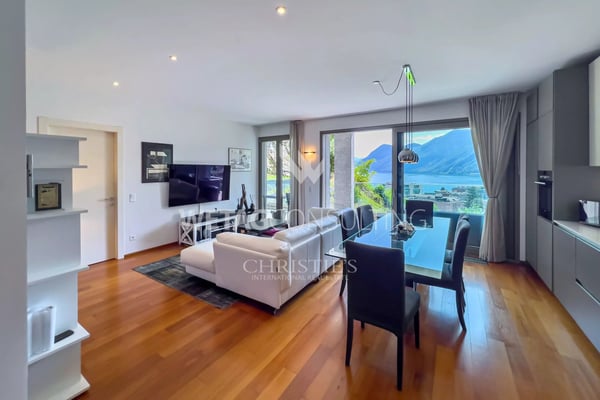 Lugano: moderne Wohnung mit Seeblick zu verkaufen, auch ideal als Zweitwohnsitz 3