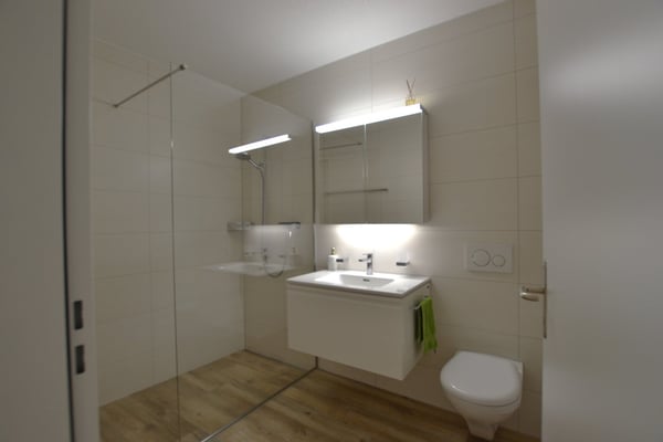 1½-Zimmer-Gartenwohnung in Zofingen AG 3