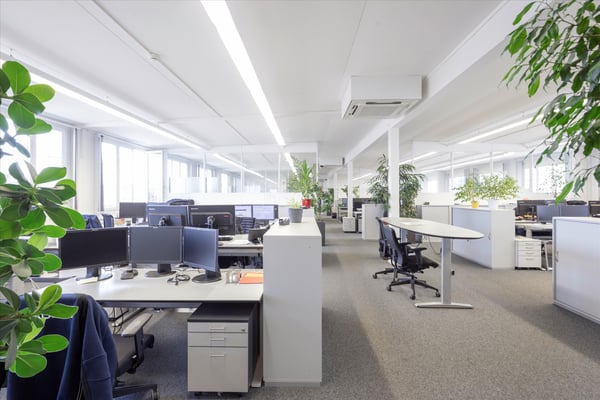 Werkplatz Altenrhein - hier gibt es Platz um zu wachsen! 7