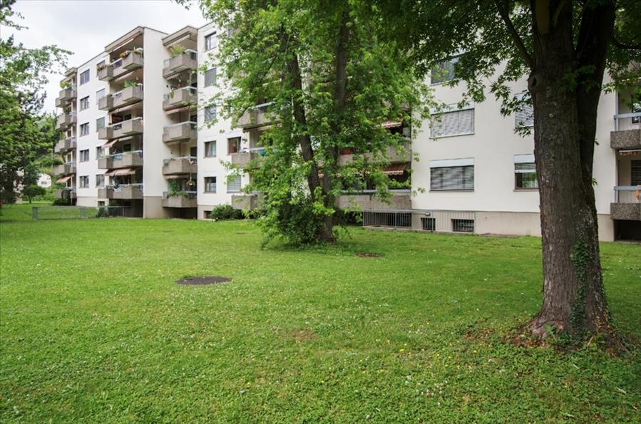 Bild Sanierte Wohnung freut sich auf eine neue Familie !