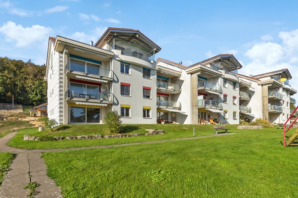 Offre spéciale de Noël- 1 pièces à Saignelégier 1