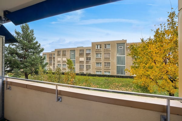 Superbe appartement moderne de 1.5 pièces au rez-de-chaussée 11