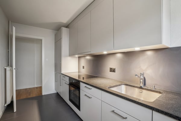 Superbe appartement moderne de 1.5 pièces au rez-de-chaussée 4