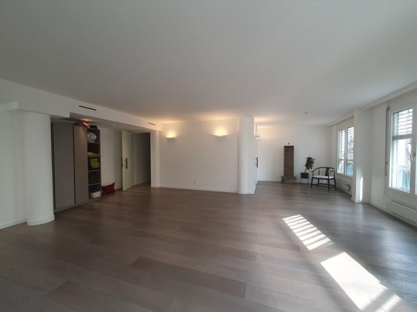 Surface professionnelle de 490 m2 4