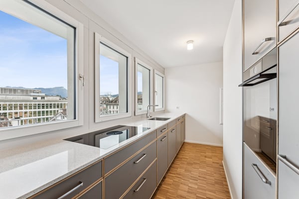 Erstvermietung - Wohnen & Arbeiten mit Reussblick! 3