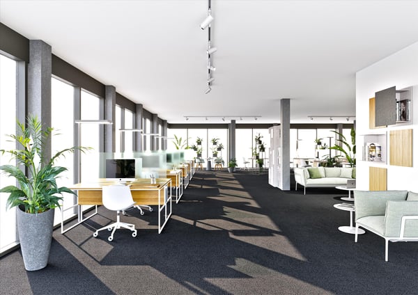 Spazio commerciale con vetrine 2