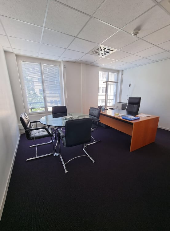 Situation privilégiée pour cette surface de 290 m2 8