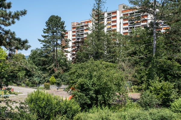 1.5 - Zimmer-Wohnung - Für Sie saniert! 1