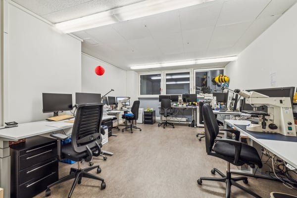 schöne helle Büroräume zwischen Bankverein und Aeschenplatz 2